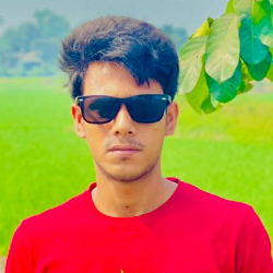 Mahabi Chowdhury Aman-Freelancer in Nabinagar,Bangladesh