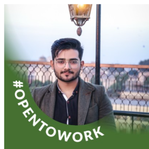Ali Haider-Freelancer in Lahore,Pakistan