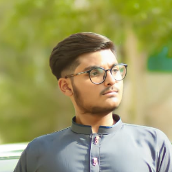 Monis Amir-Freelancer in Karachi,Pakistan