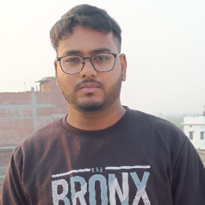 Akash Kumar-Freelancer in Patna,India