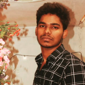 Dinesh Kumar Dhananjayan-Freelancer in Chennai,India