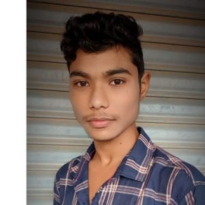 B_ Dileep Kumar-Freelancer in Anantapur,India
