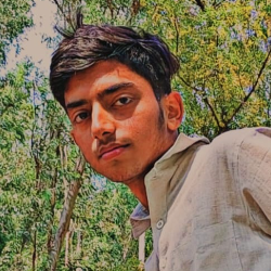Ashish Patel-Freelancer in Budaun,India