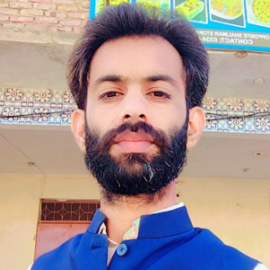 Liaquat Ali-Freelancer in Hyderabad,Pakistan