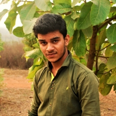 Ashish Sharma Ap-Freelancer in Gwalior,India