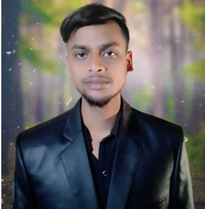 Md Rajib Molla-Freelancer in pabna,Bangladesh