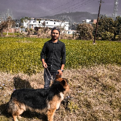 Aariz Sheikh-Freelancer in Uttar Pradesh,India