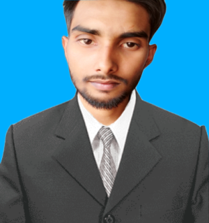 Sajidul Islam-Freelancer in Dhaka,Bangladesh