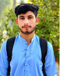 Kashif Hussain-Freelancer in Bhakkar,Pakistan