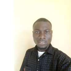 Kareem Mathew-Freelancer in Lagos,Nigeria