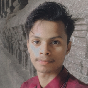 Jishan Ahamad-Freelancer in Aurangabad,India