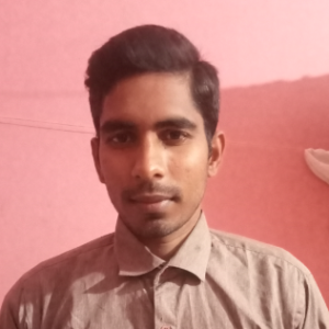 Md.ismail Hossain-Freelancer in Pabna Sadar,Bangladesh