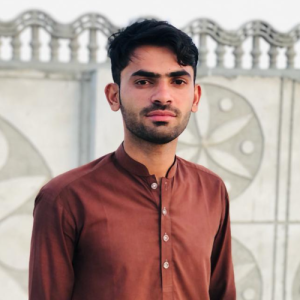 Ahmed Ali-Freelancer in kandhkot,Pakistan