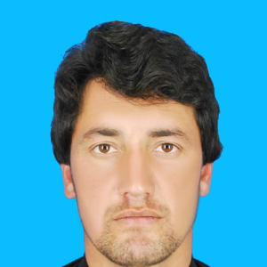 Muhammad Hussain-Freelancer in chitral,Pakistan
