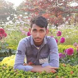 Nazrul Islam Expart-Freelancer in Rajshahi,Bangladesh