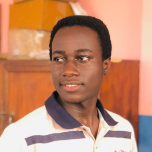 Foster Ametepey-Freelancer in Accra,Ghana