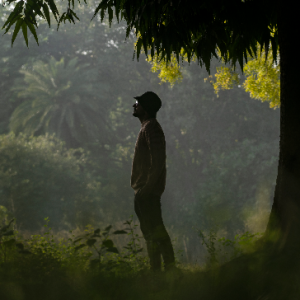 Dheeraj Dman-Freelancer in Delhi,India