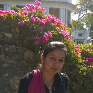Neelam Chouhan-Freelancer in Raipur,India