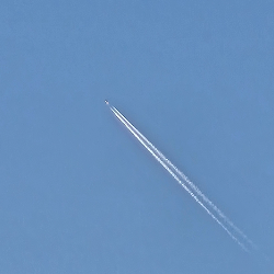 Project x-Freelancer in Houston,USA