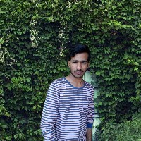 Azad H-Freelancer in Jalandhar Division,India