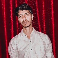 Ritesh Pal-Freelancer in Lucknow Division,India