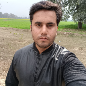 Muhammad Najeeb Ul Hassan-Freelancer in Lahore,Pakistan