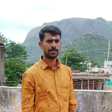 Nagaraj Raji-Freelancer in Madurai,India