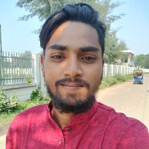 Ariful Islam-Freelancer in Comilla,Bangladesh