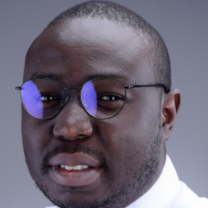 Theophilus Ighalo-Freelancer in Abuja,Nigeria