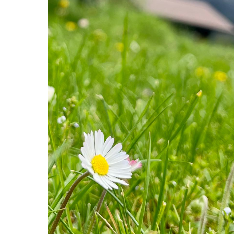 Geeta Mahajan Matta-Freelancer in Gurgaon,India