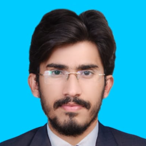 Syed Waqar Haider Bukhari-Freelancer in Lodhran,Pakistan
