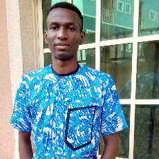 Nwajiobi Elvis Chibike-Freelancer in Enugu,Nigeria