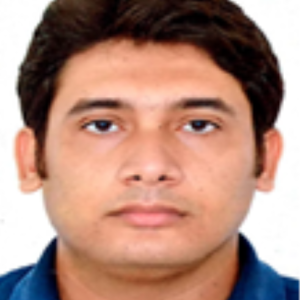 Biswajit Bhattacharjee-Freelancer in New Jersey,India