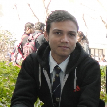 Abhishek Sharan-Freelancer in Jaipur,India