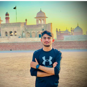 Chander Kumar-Freelancer in Lahore,Pakistan