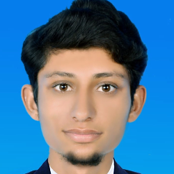 Muhammad Bilal-Freelancer in Ahmadpur East,Pakistan