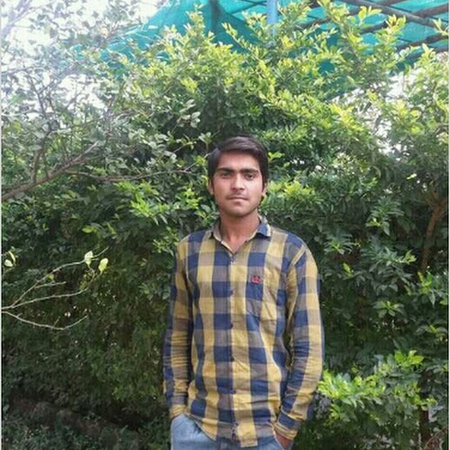 Lakhan Dangi-Freelancer in ,India