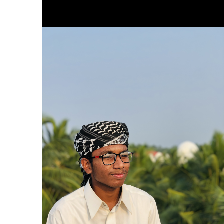 Safad Mk-Freelancer in Mannarkkad,India