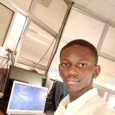 Olaoluwa Michael-Freelancer in Abuja,Nigeria