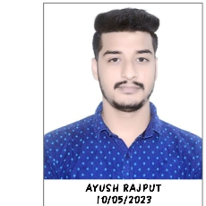 AYUSH RAJPUT-Freelancer in Bhopal,India