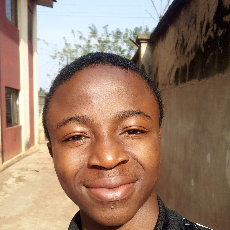David Adebowale-Freelancer in Akure,Nigeria