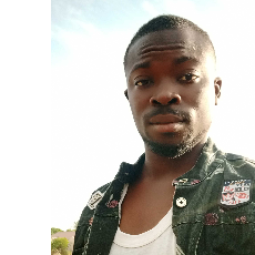 Abdulazeez Ibrahim-Freelancer in KADUNA,Nigeria