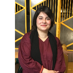 Maheen Tahir-Freelancer in Sahiwal,Pakistan