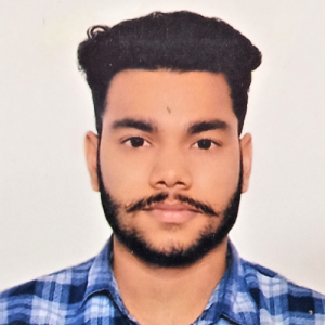 Parmeshwar Bareth-Freelancer in Bilaspur,India