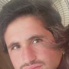 Sayed Bacha-Freelancer in Mongwra swat,Pakistan