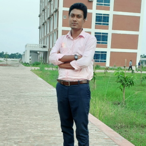 Lokman Hossain-Freelancer in Jamalpur,Bangladesh