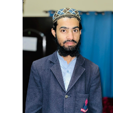 Muhammad Amir Hamza-Freelancer in Lahore,Pakistan