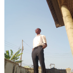 Ayo George-Freelancer in Nigeria,Nigeria