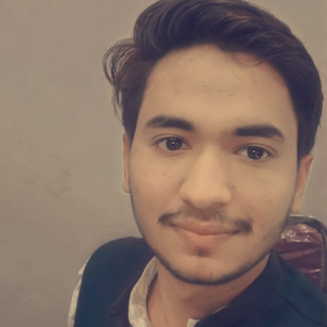 Sajid Malik-Freelancer in khushab,Pakistan