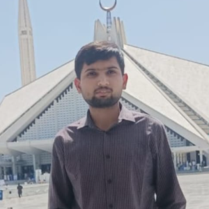 Muhammad Qasim Tahir-Freelancer in islamabad,Pakistan